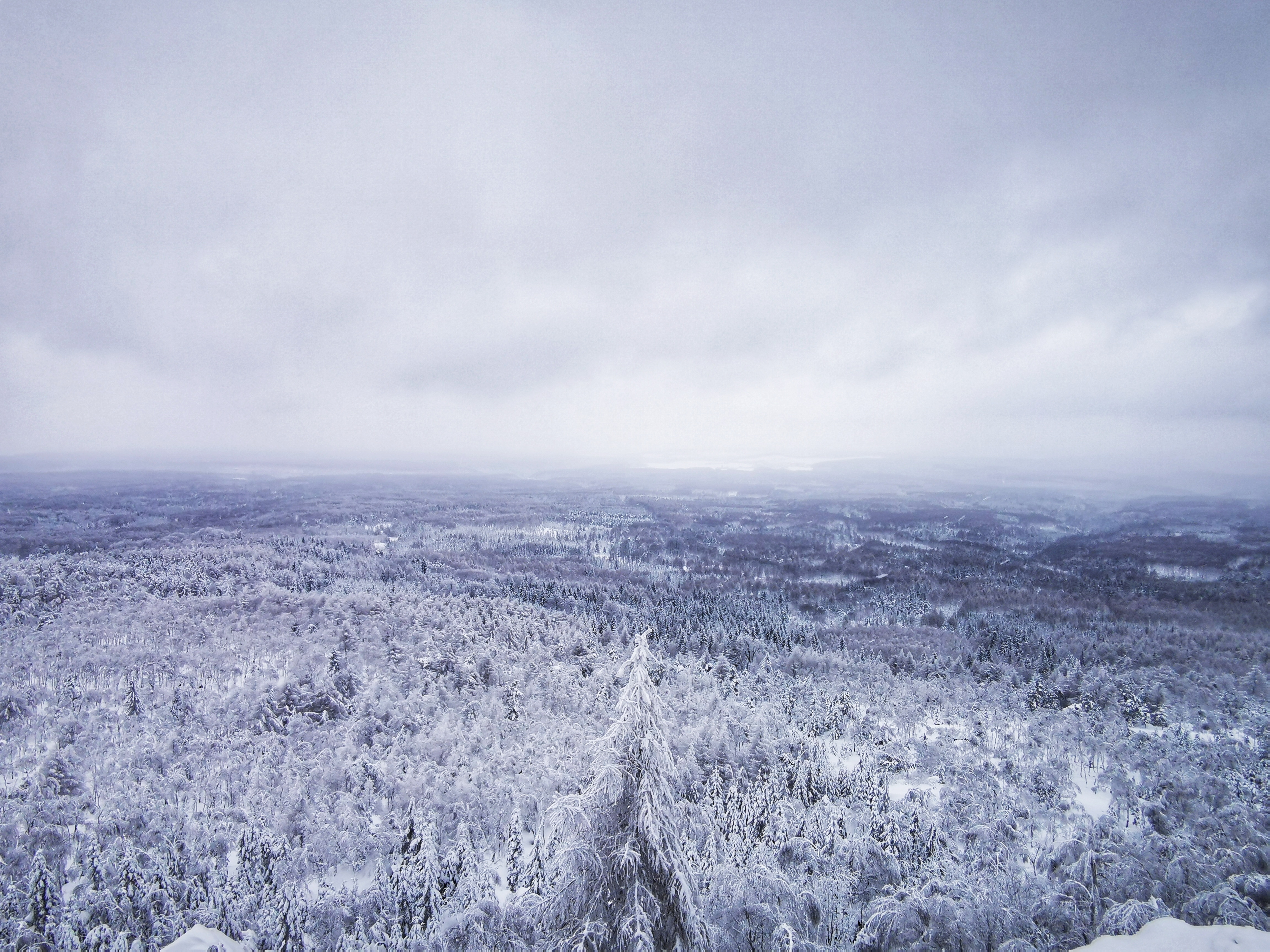 Děčínský Sněžník, Czech Republic