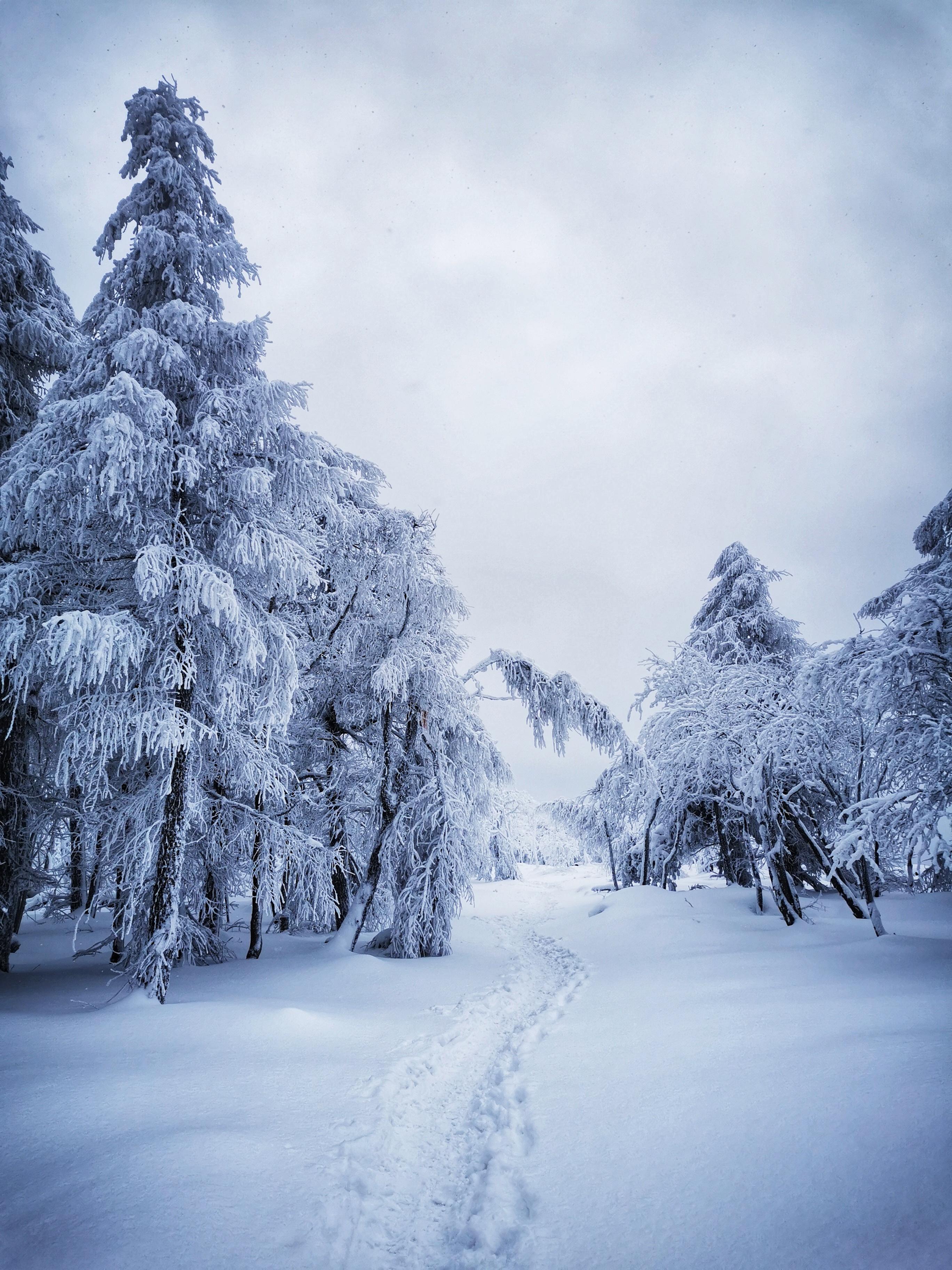 Děčínský Sněžník, Czech Republic