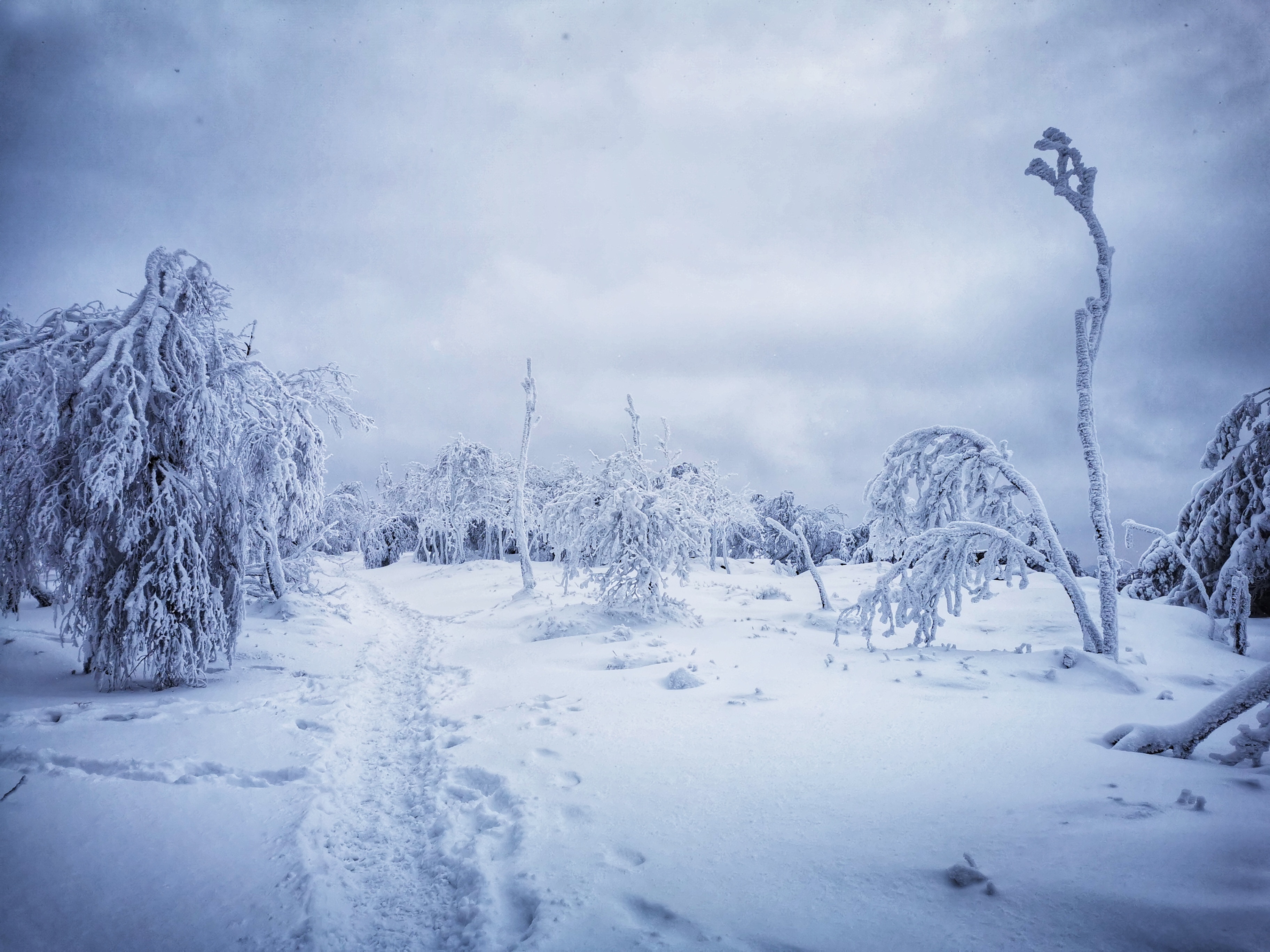 Děčínský Sněžník, Czech Republic