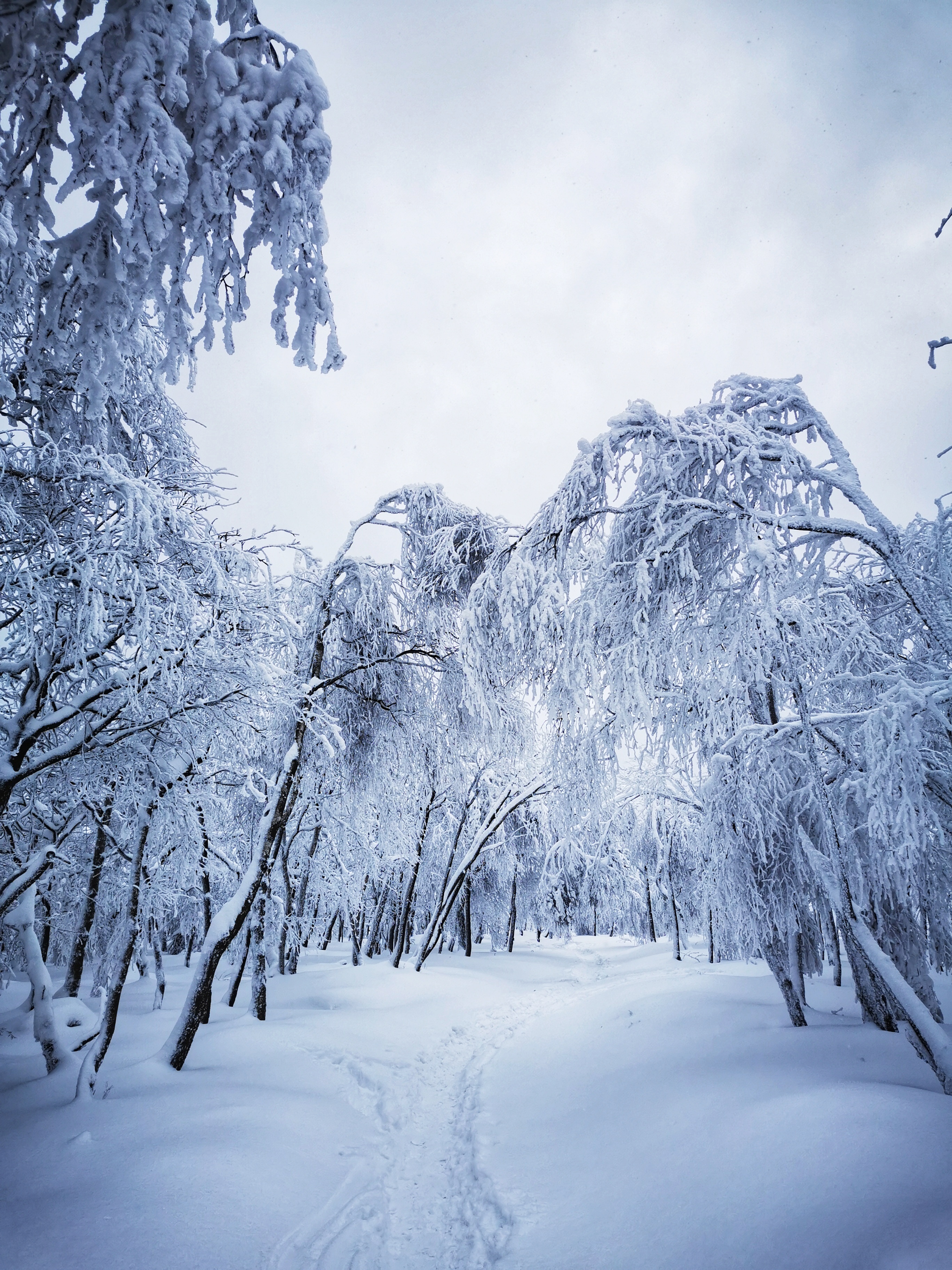 Děčínský Sněžník, Czech Republic