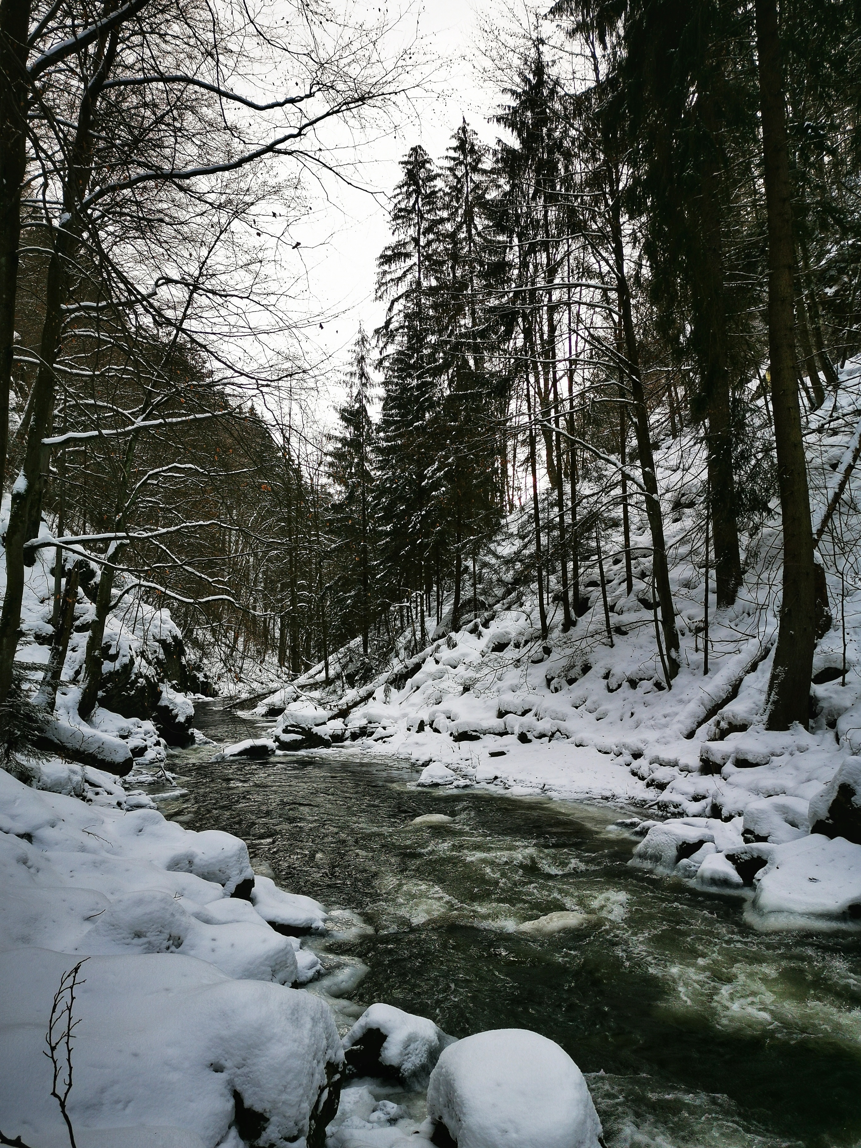 Kamenice river, Czech Republic