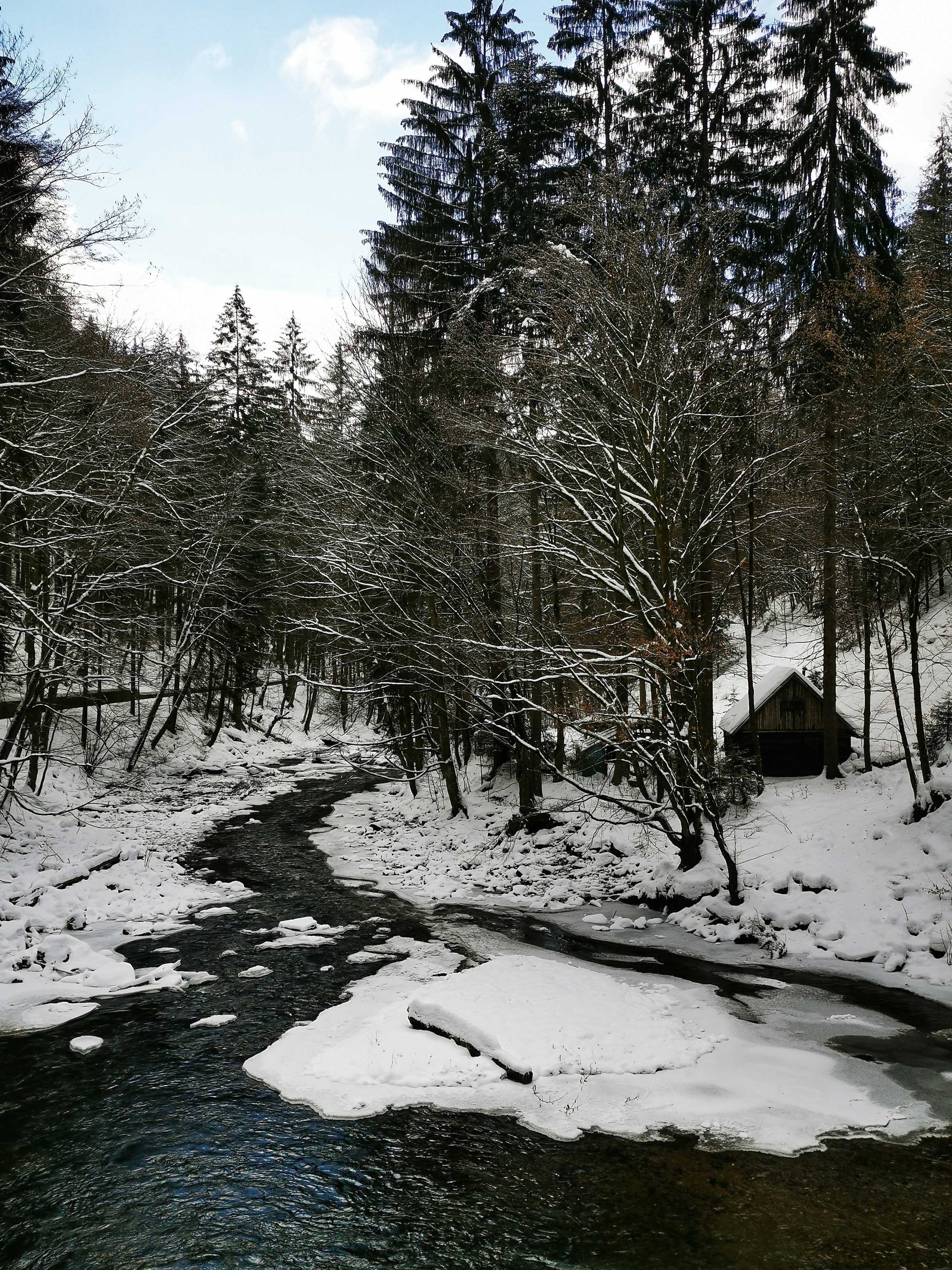 Kamenice river, Czech Republic
