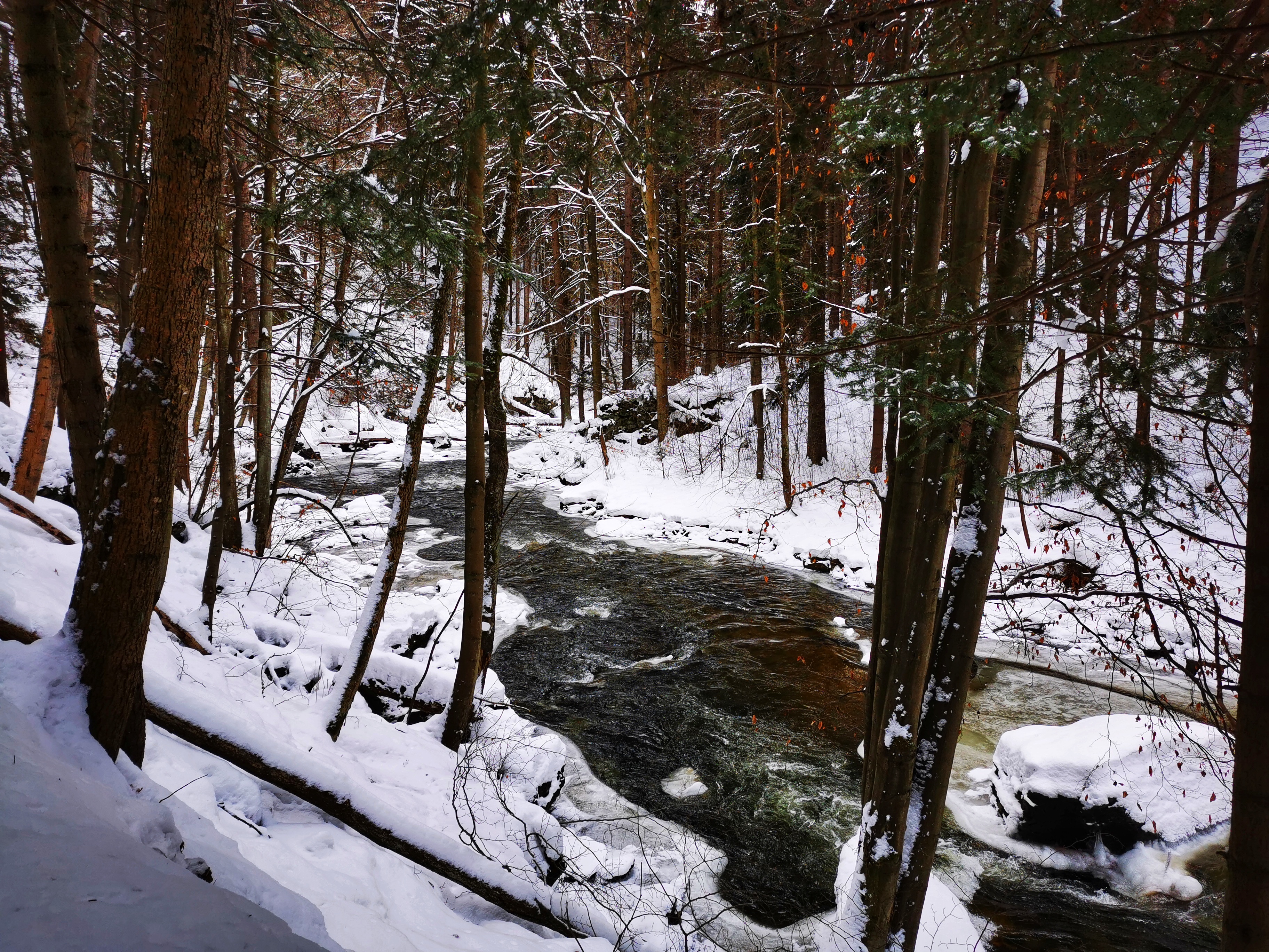 Kamenice river, Czech Republic