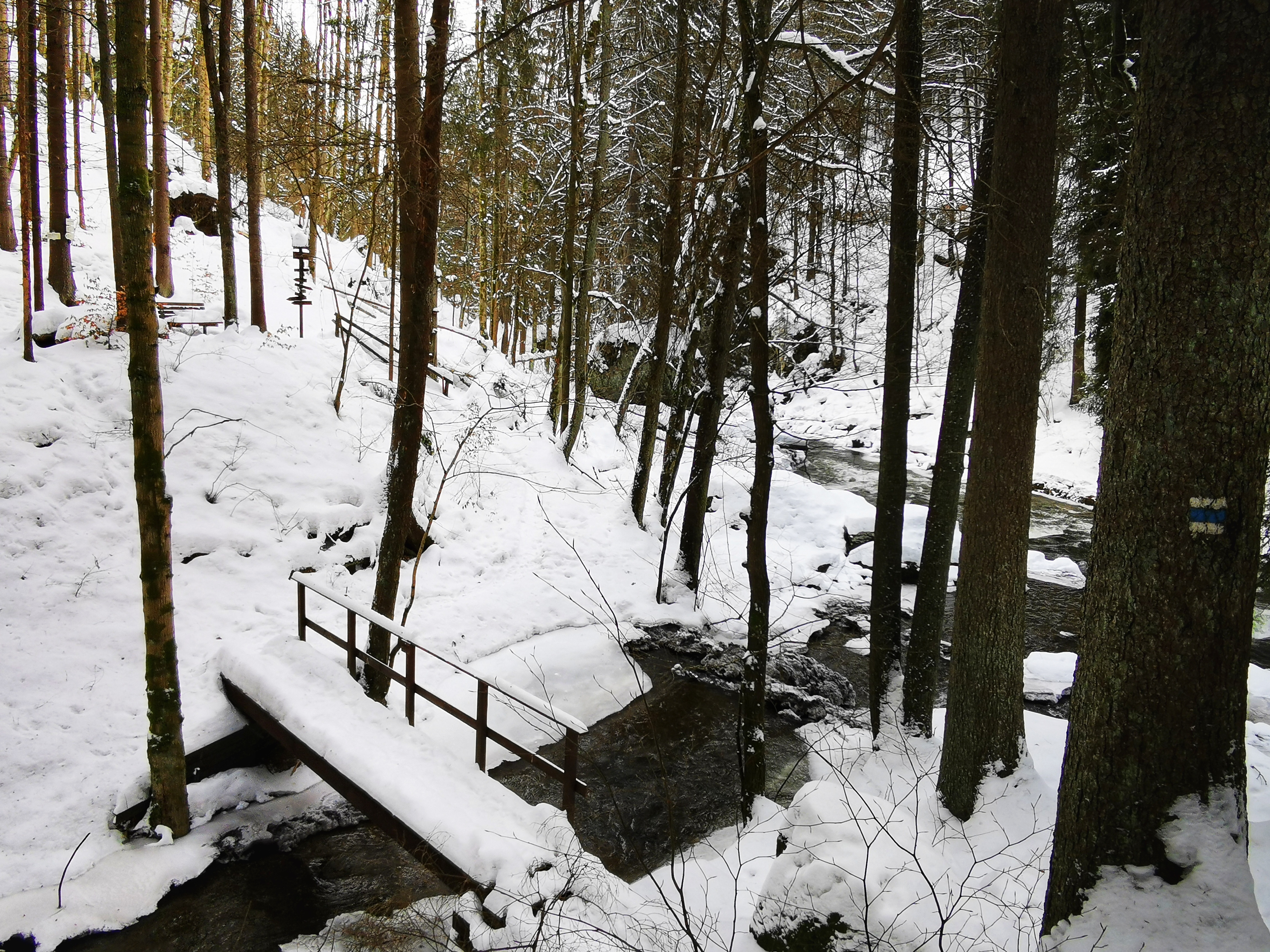 Kamenice river, Czech Republic
