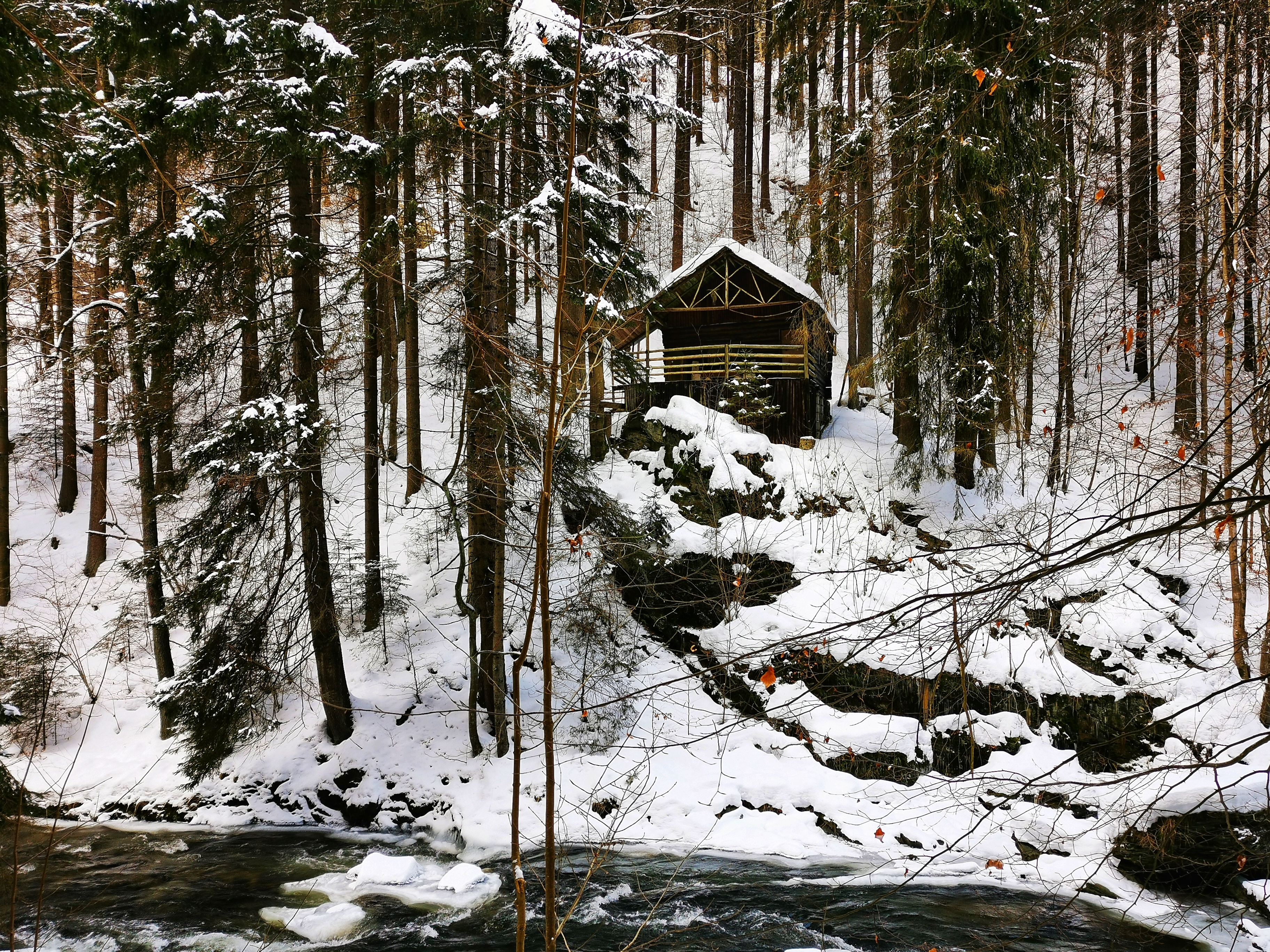 Kamenice river, Czech Republic