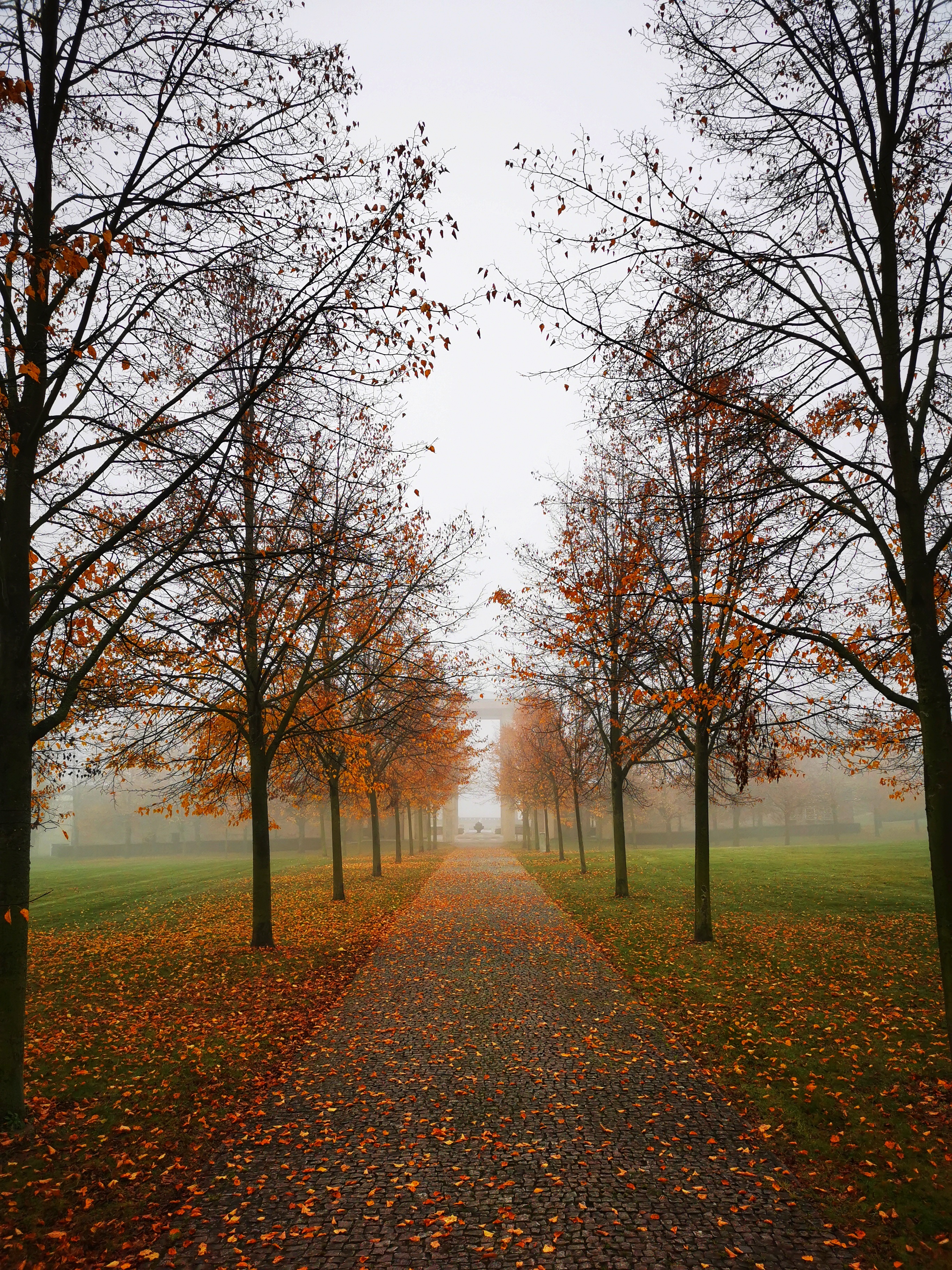 Sir Barnett Stross (25 December 1899 – 13 May 1967) was a British doctor and politician, who led the humanitarian campaign "Lidice Shall Live".