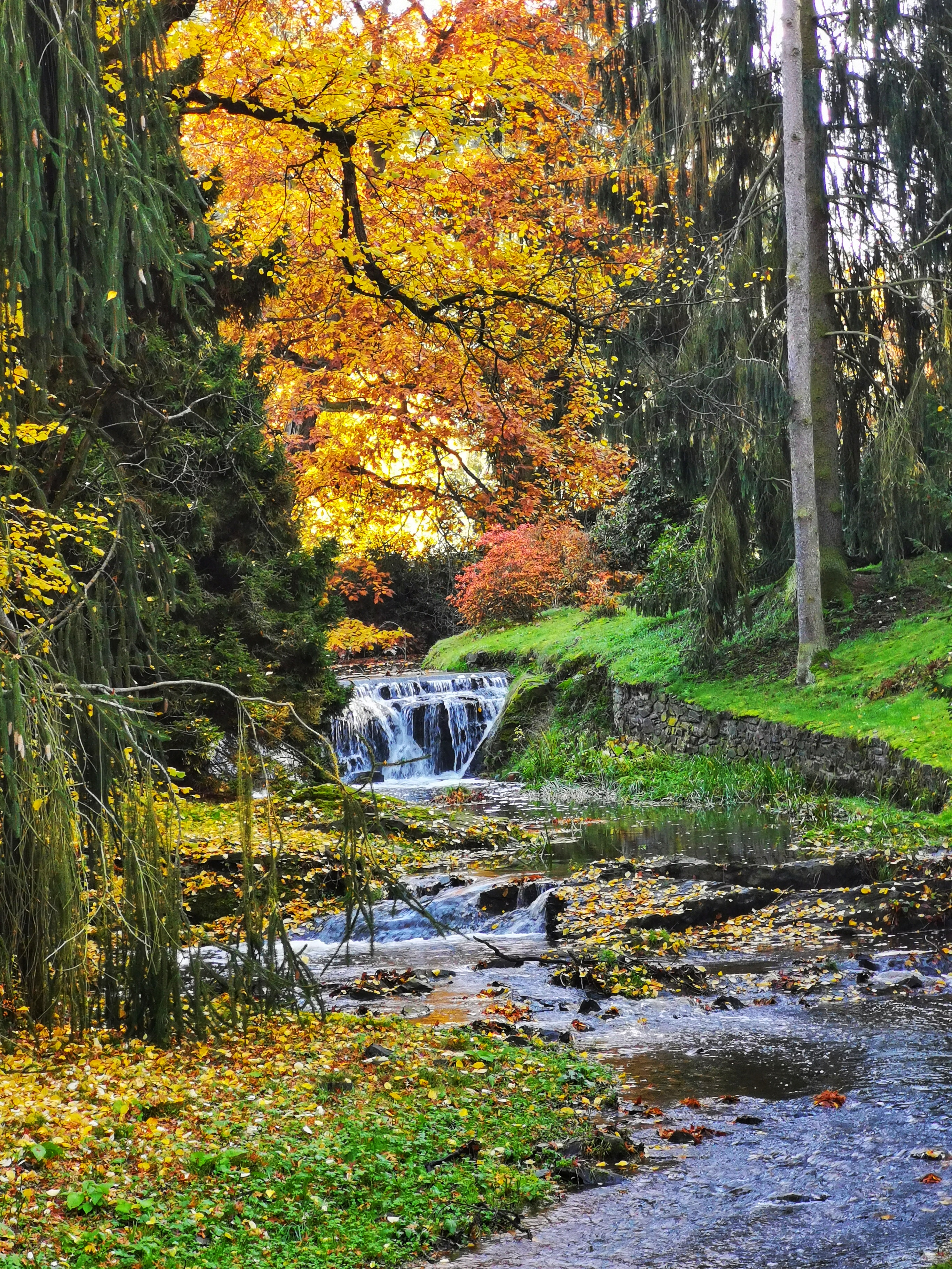The Průhonice Park was founded in the year 1885 by Count Arnošt Emanuel Silva-Tarouca.