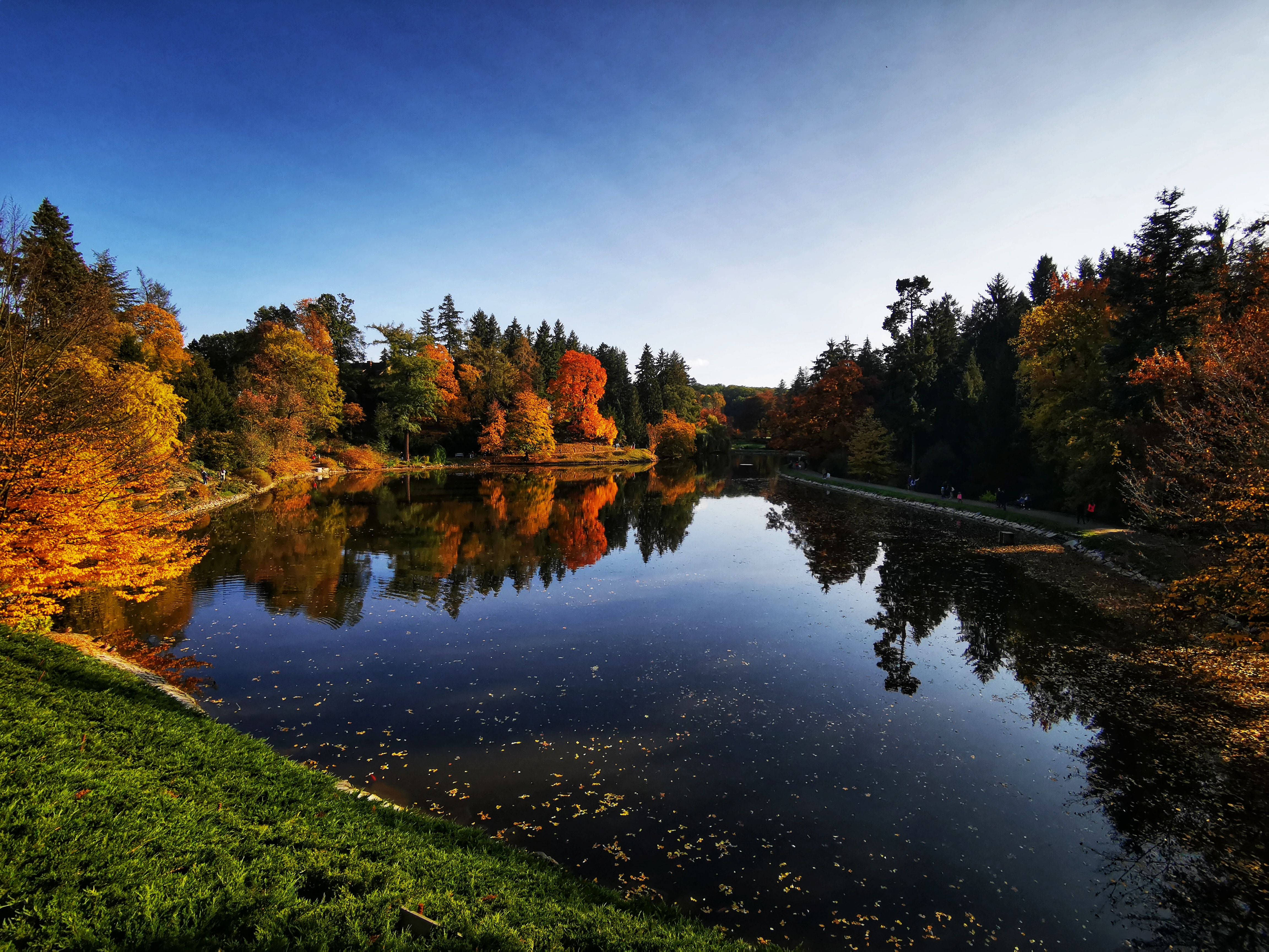 The Podzámecký pond lies next to The Průhonice Castle.