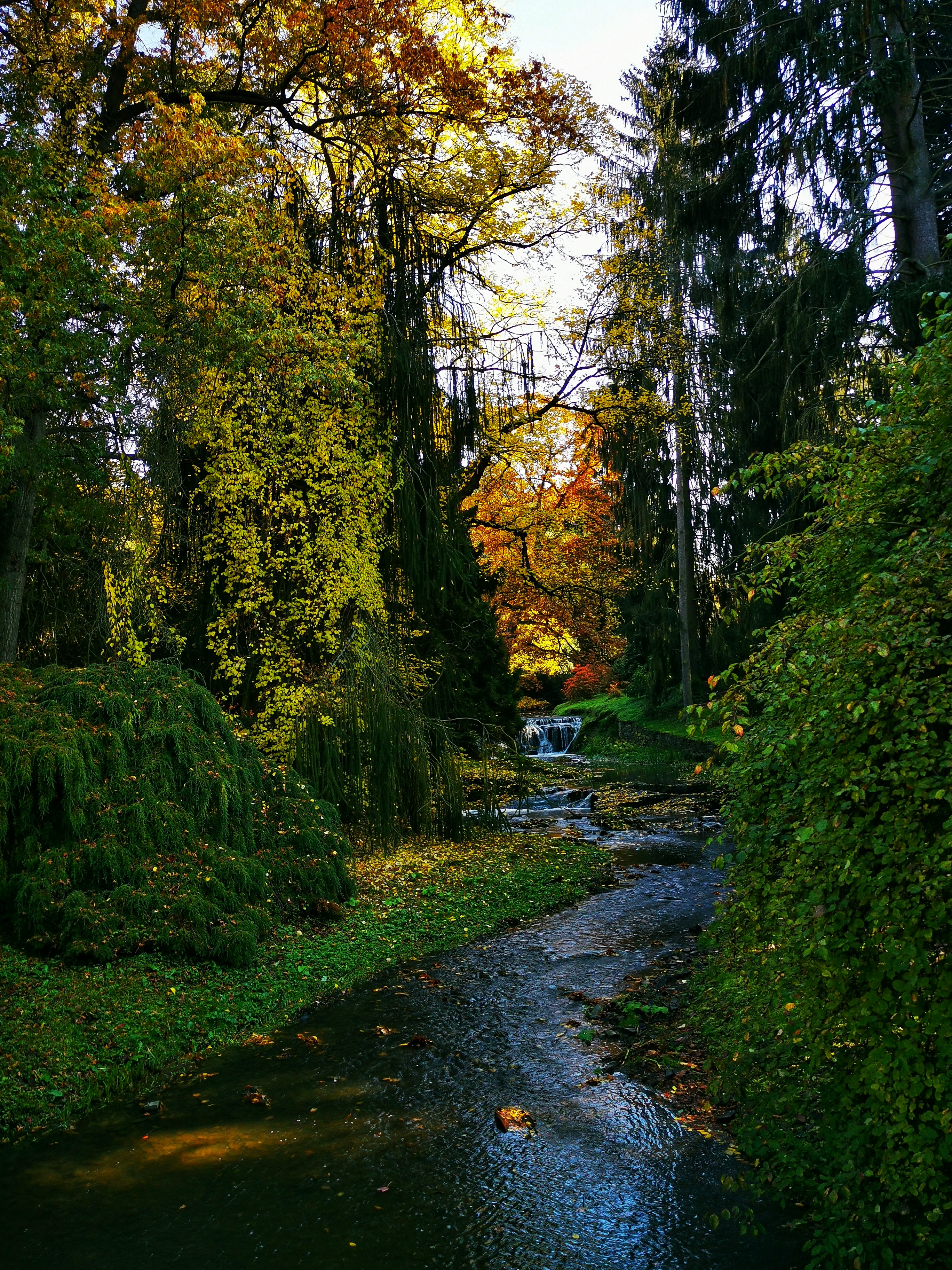 The Průhonice Park is the most significant landscape element southeast of Prague and an important haven for the variety of organisms in this part of the country.