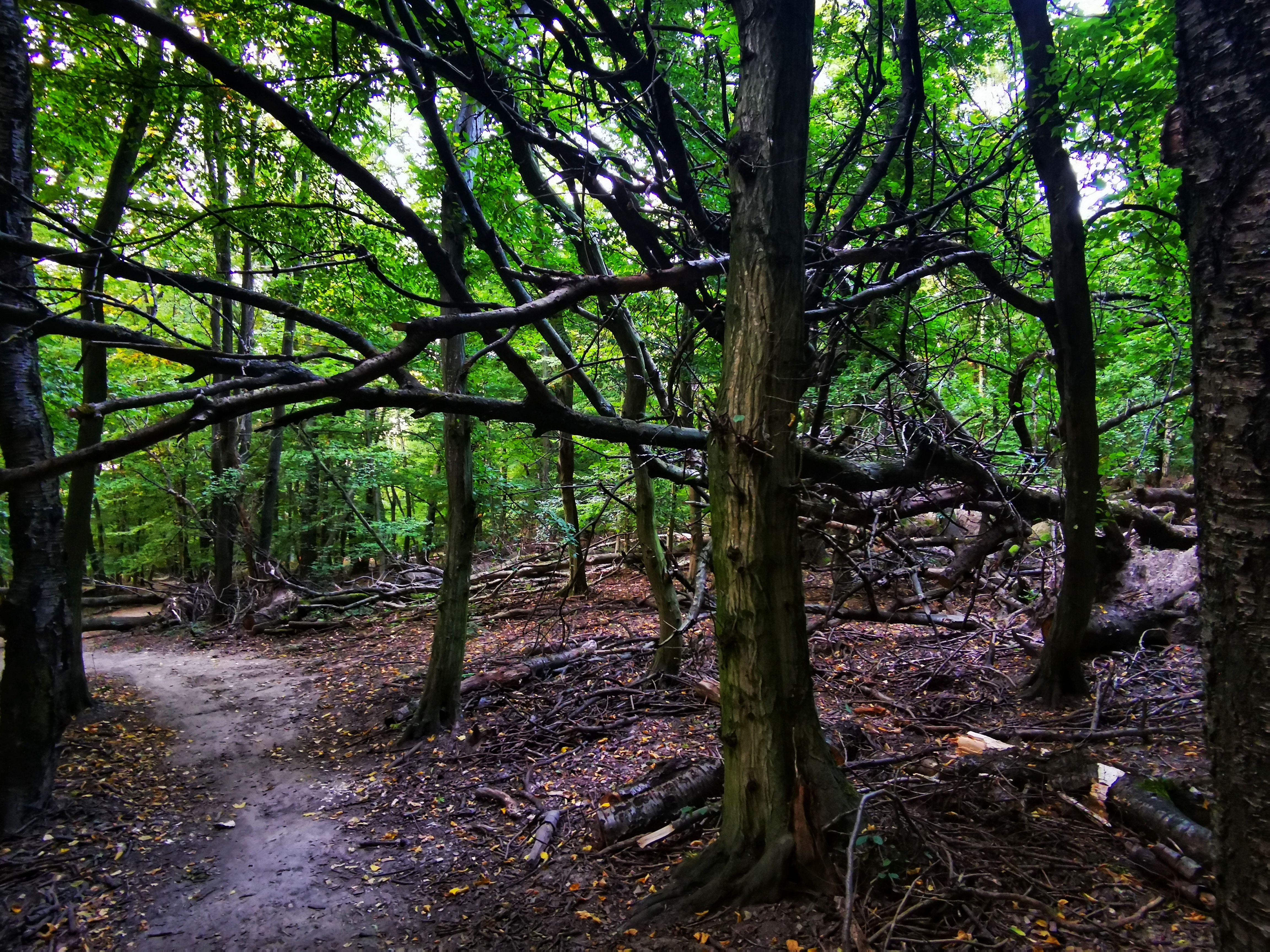 When walking around, you will not have a feeling of being in the big city.