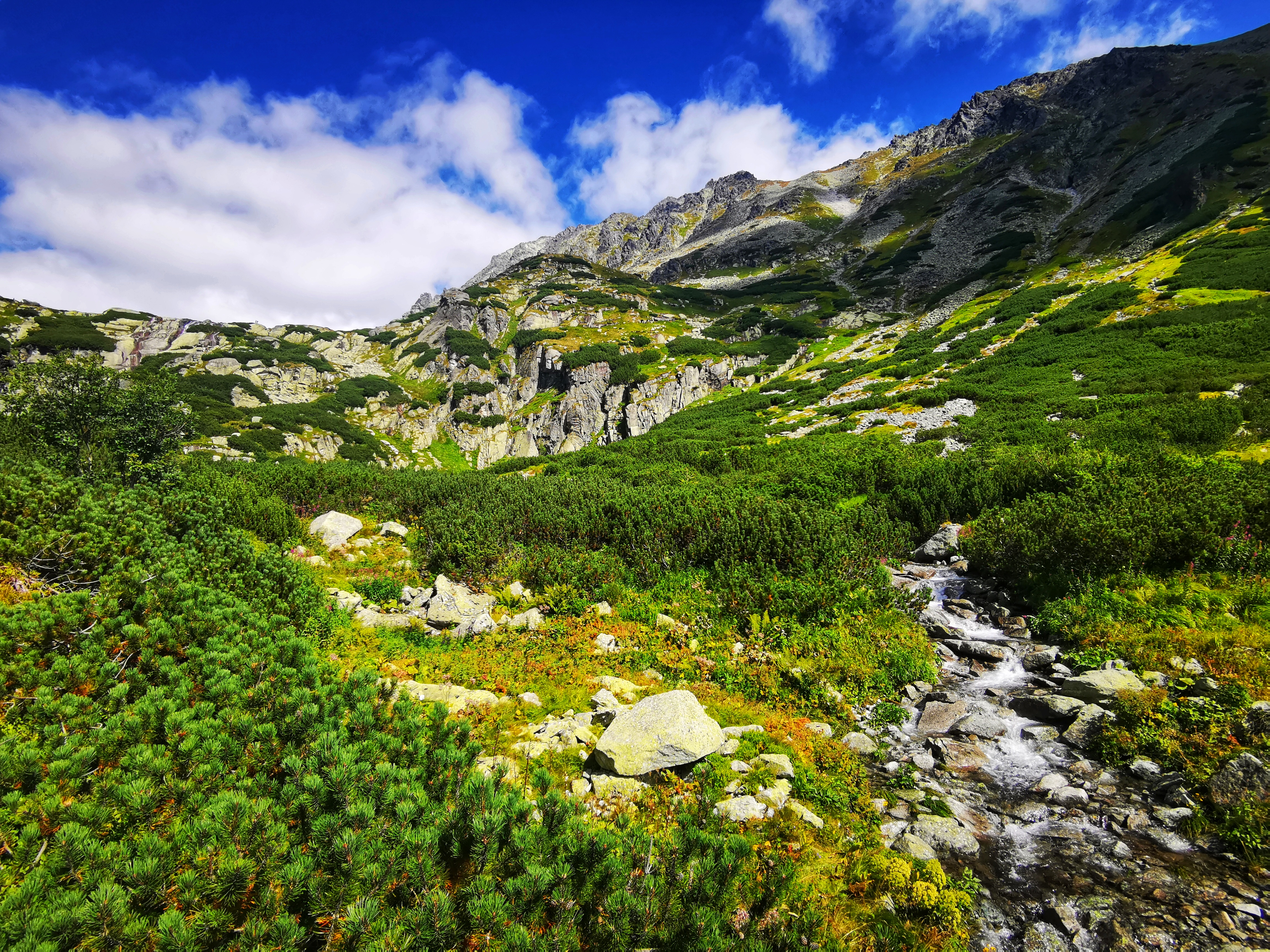 The path is getting steeper as we continue.