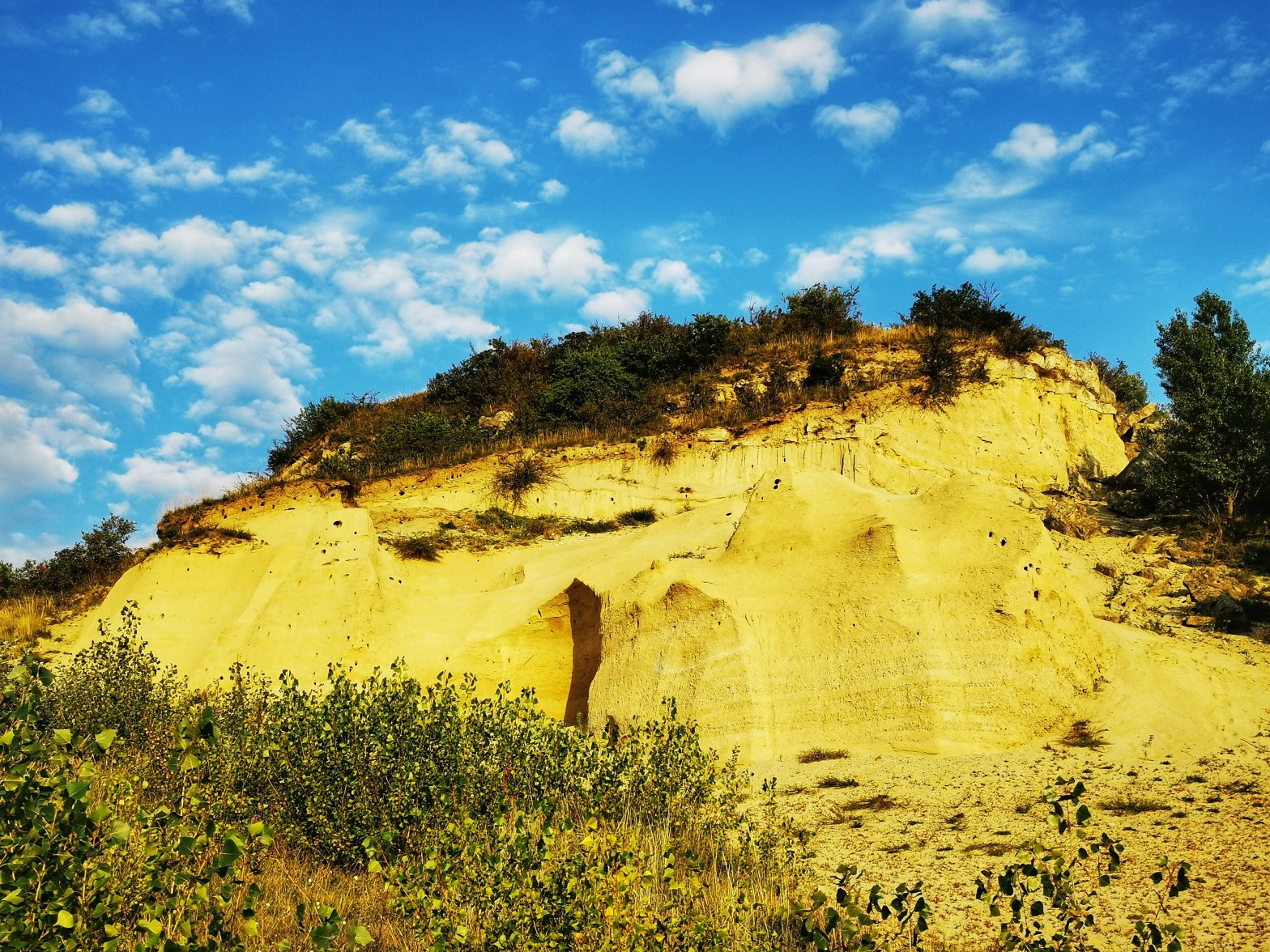 This place was once a sea inhabited by many species of plants and animals.
