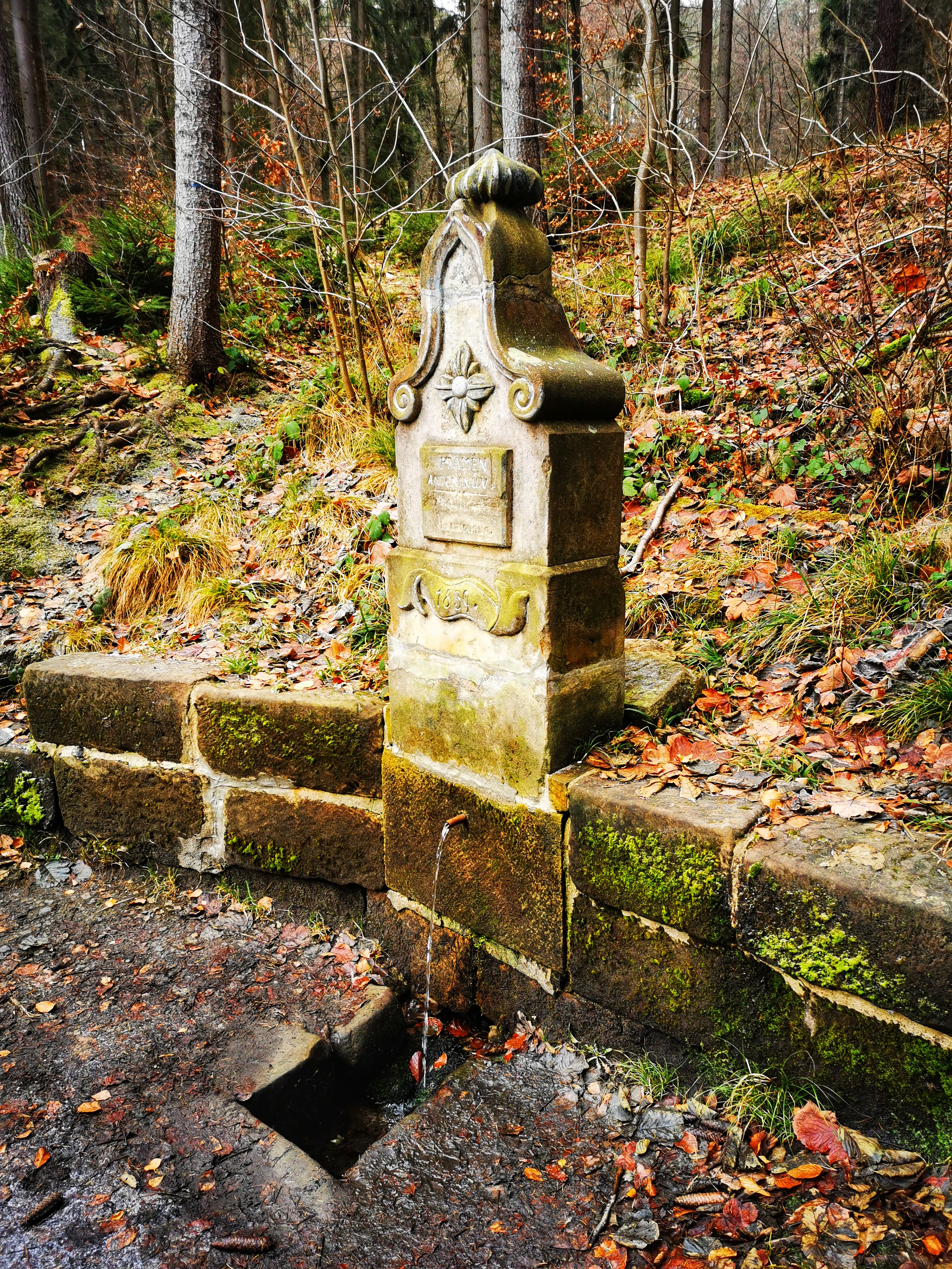 One of many water springs you can find in the area.