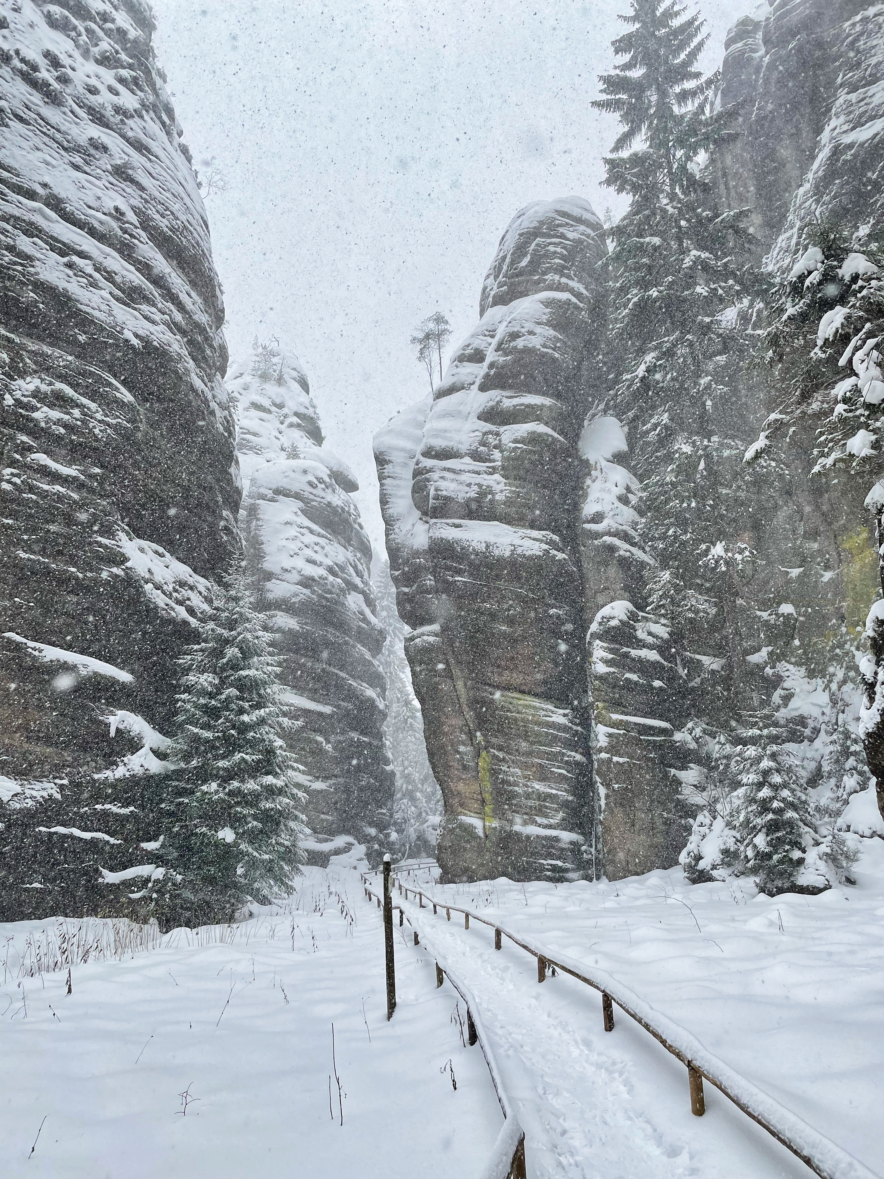 Looks like a winter wonderland...