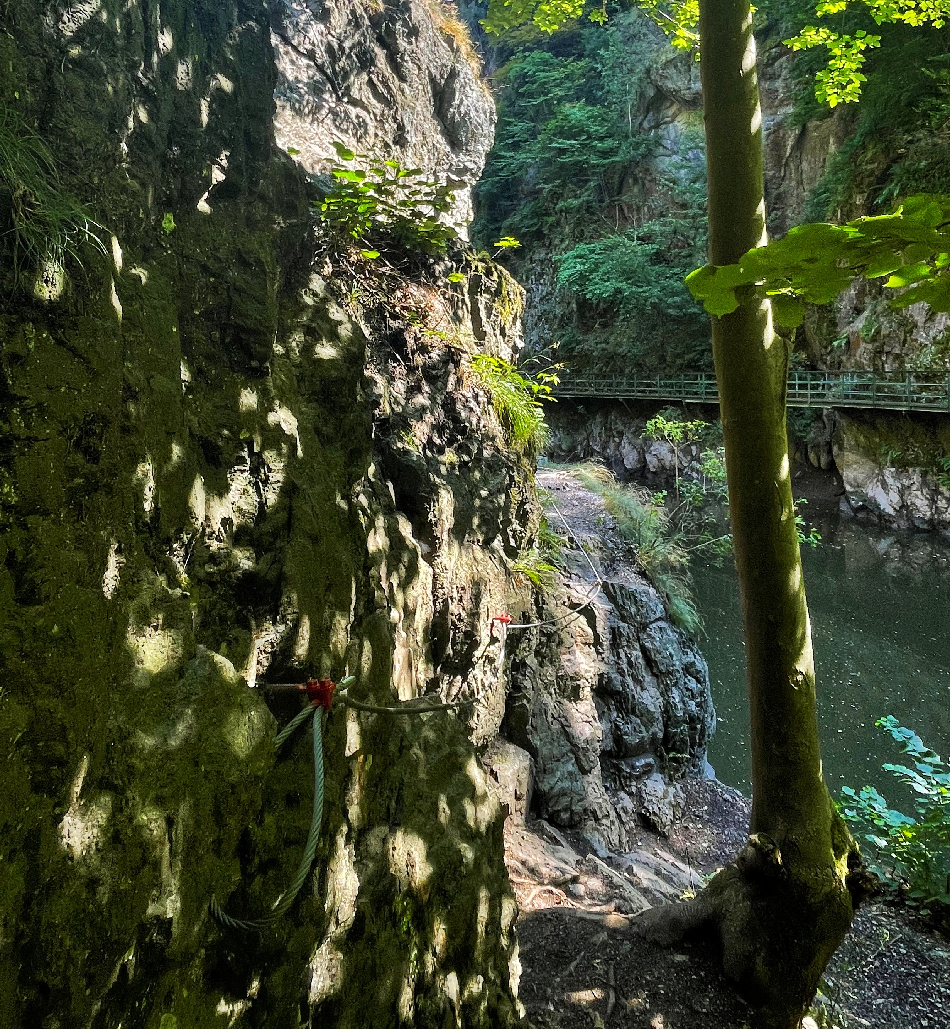 The beginning of the red and purple way.