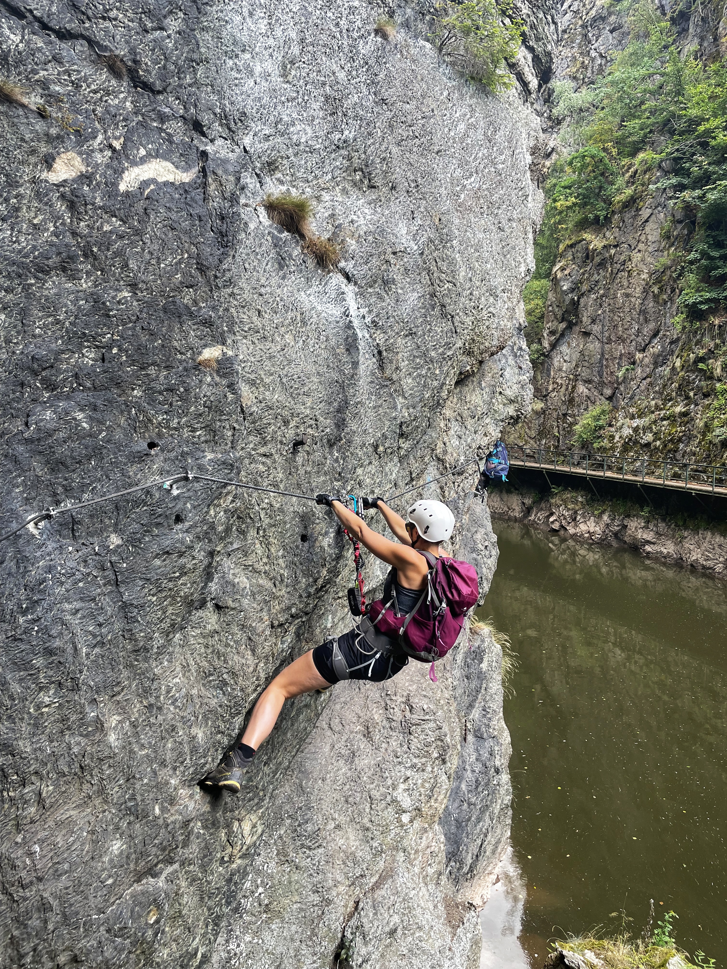 The beginning of the purple way (D+).