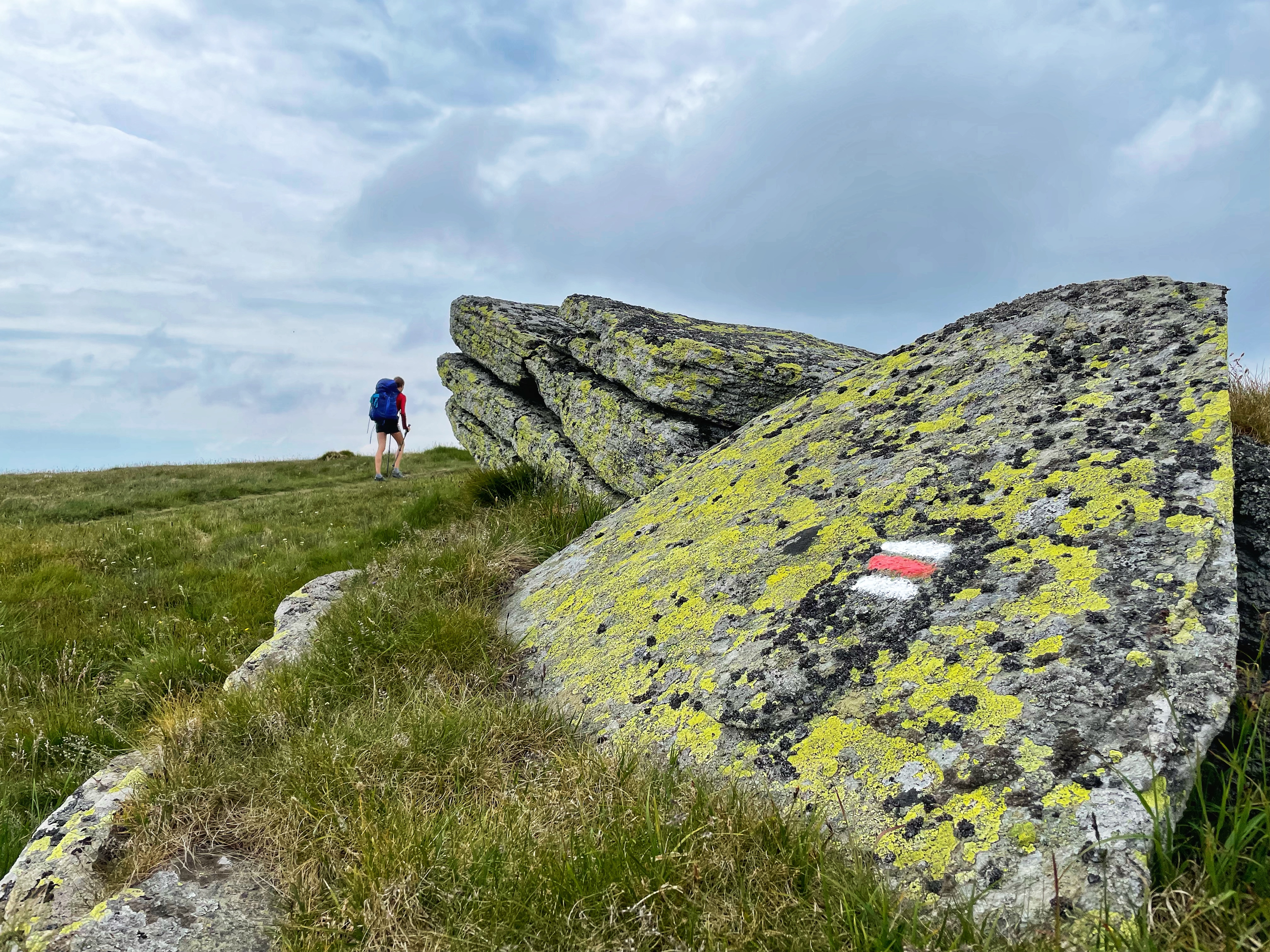 Always follow the red path