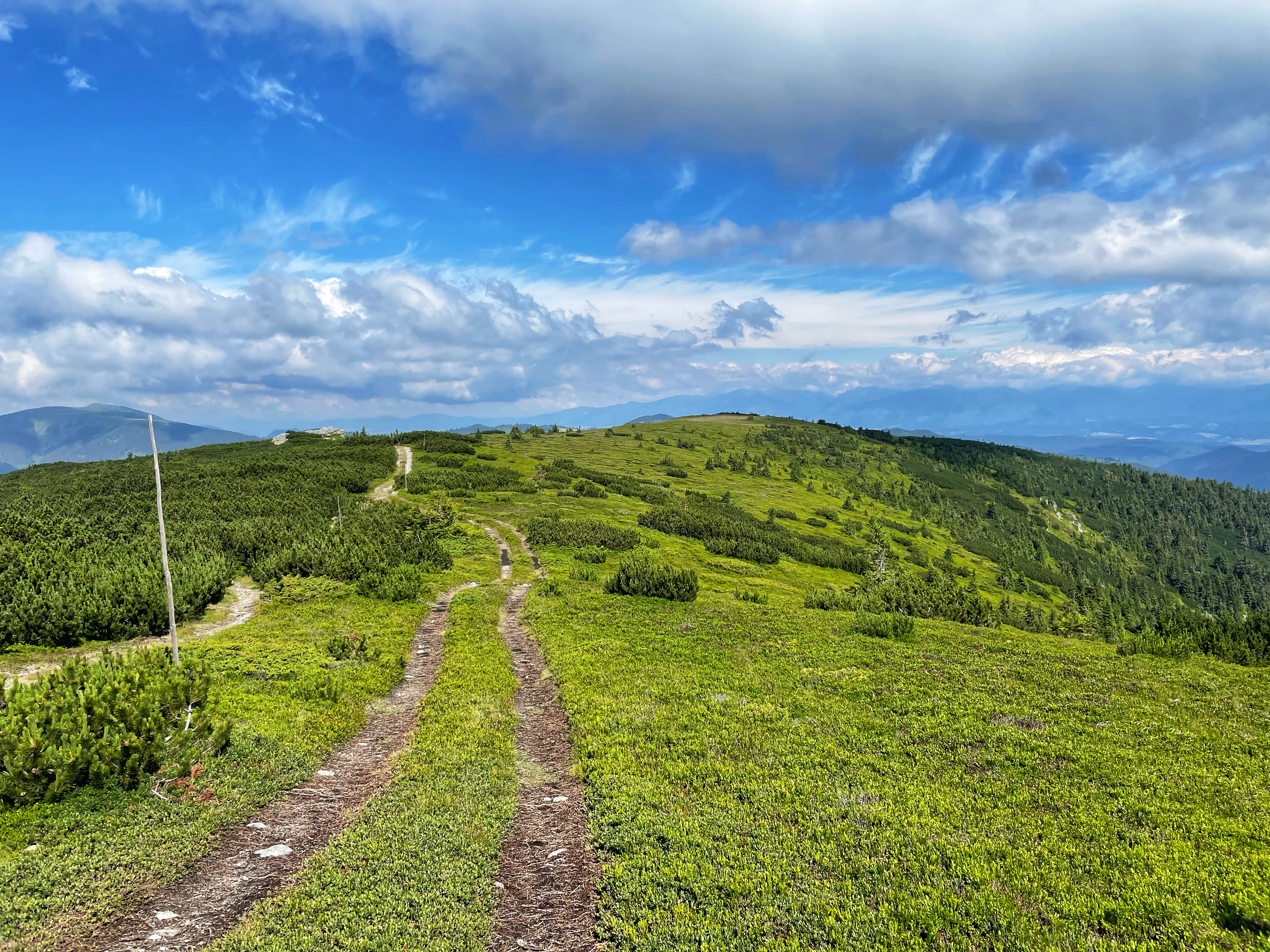 The whole day felt like we were walking through the green heaven.