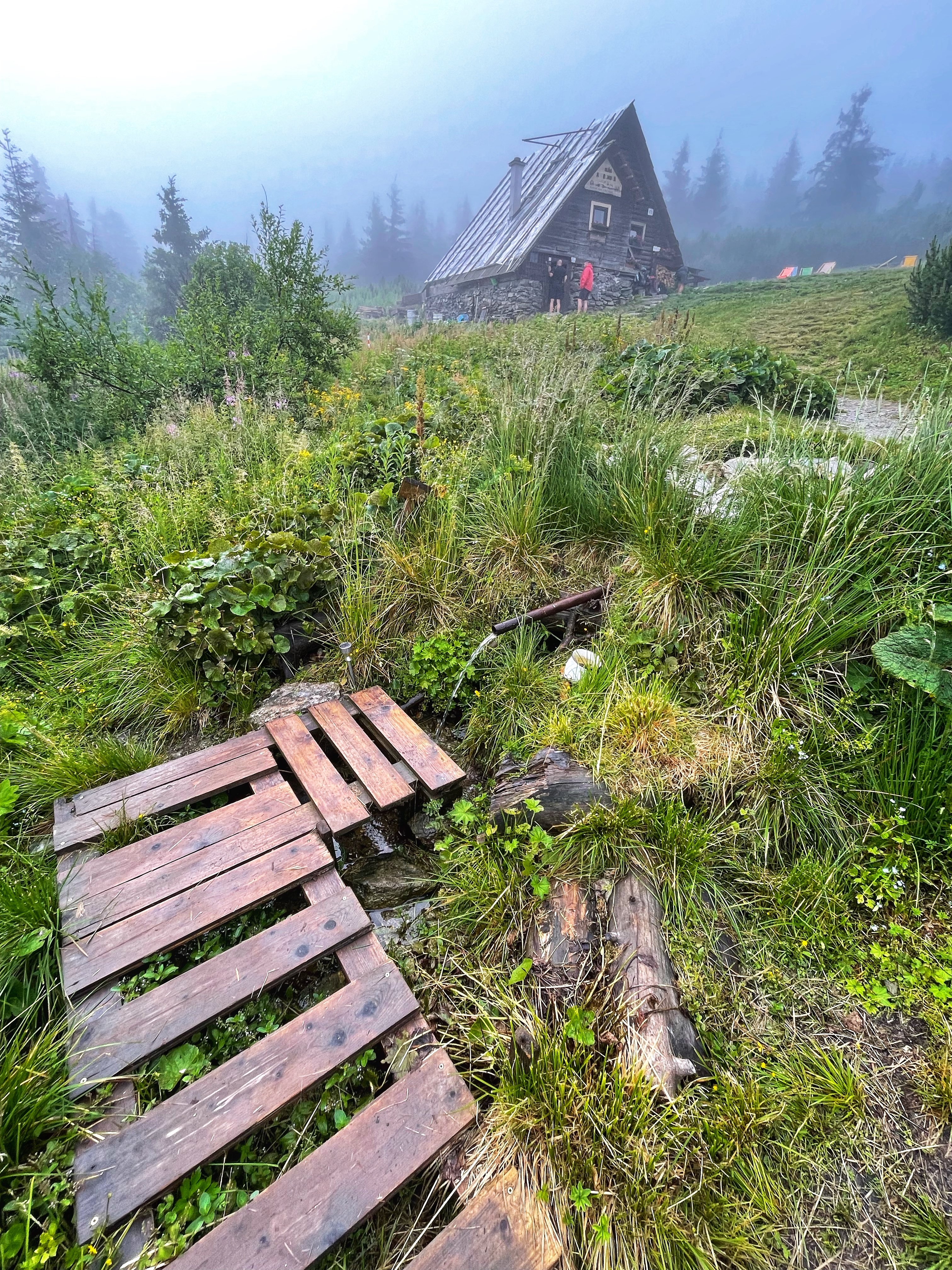 And yes, this is the "shower" we used at the cottage.