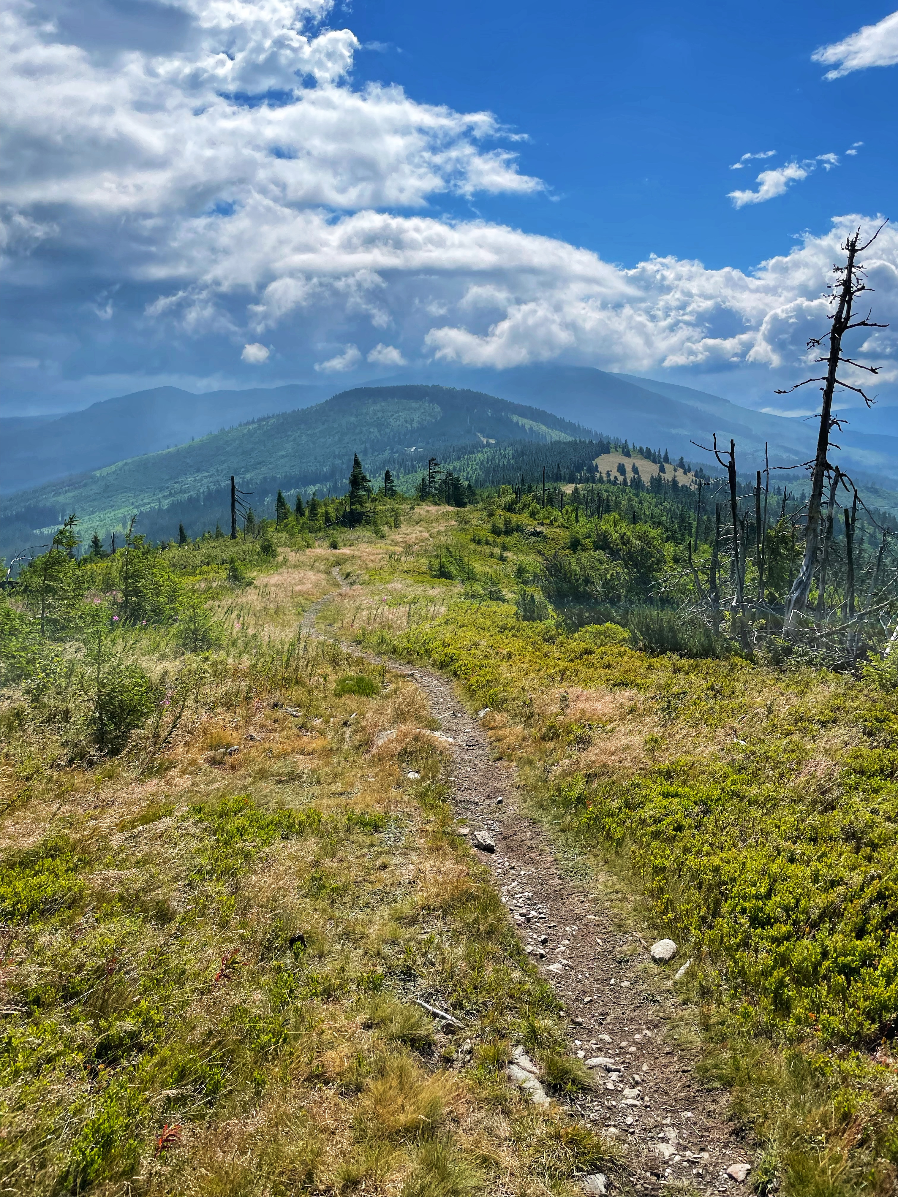 Crossing the ridge of the Low Tatras