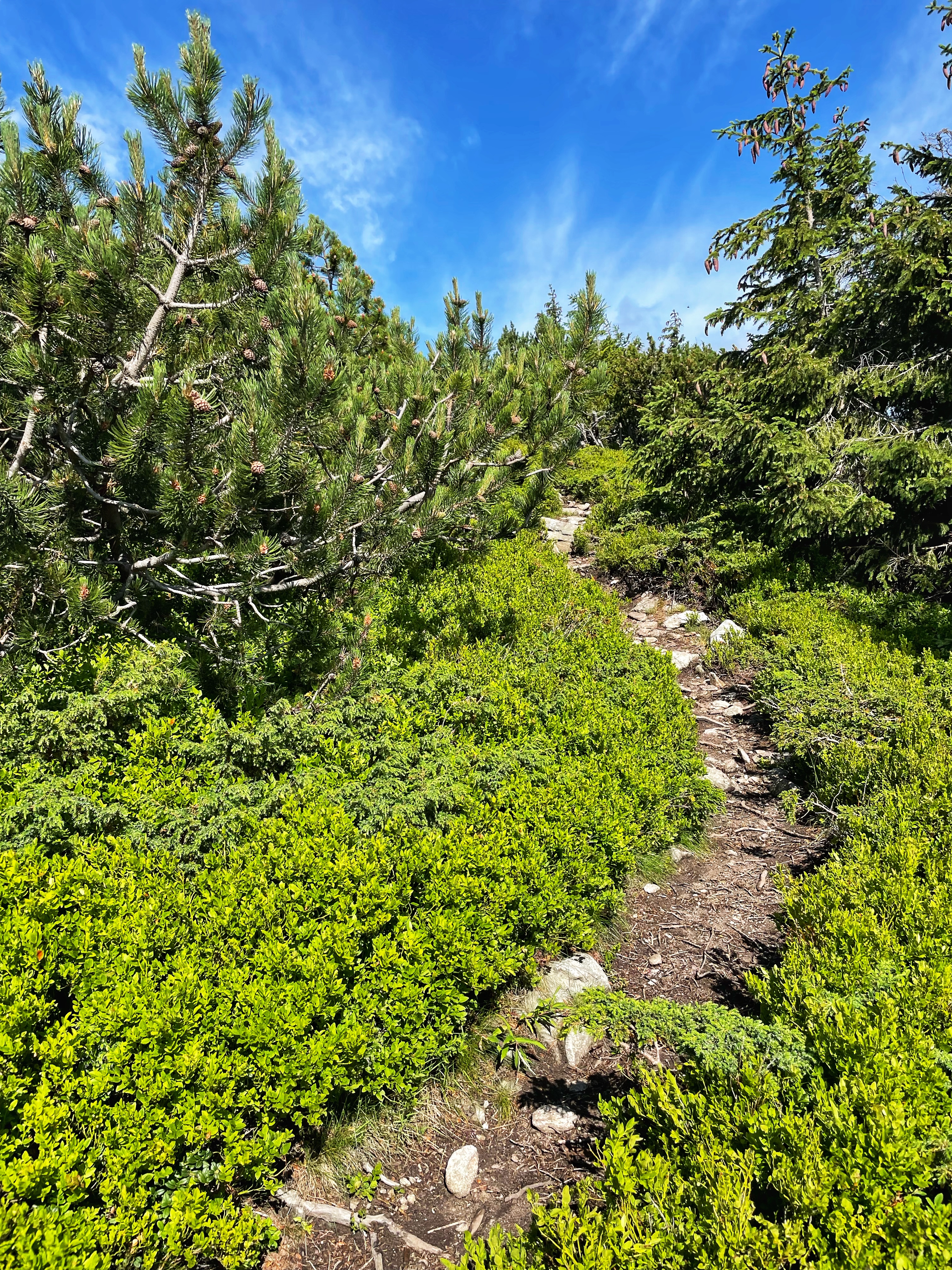 Crossing the ridge of the Low Tatras