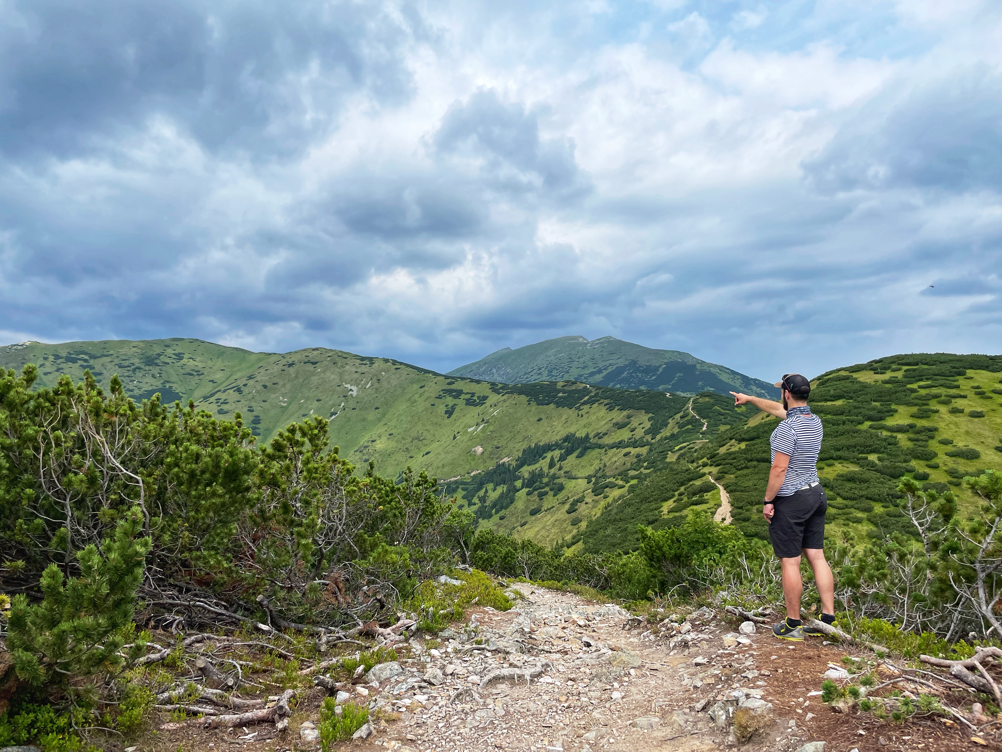 "That's the way we go!"