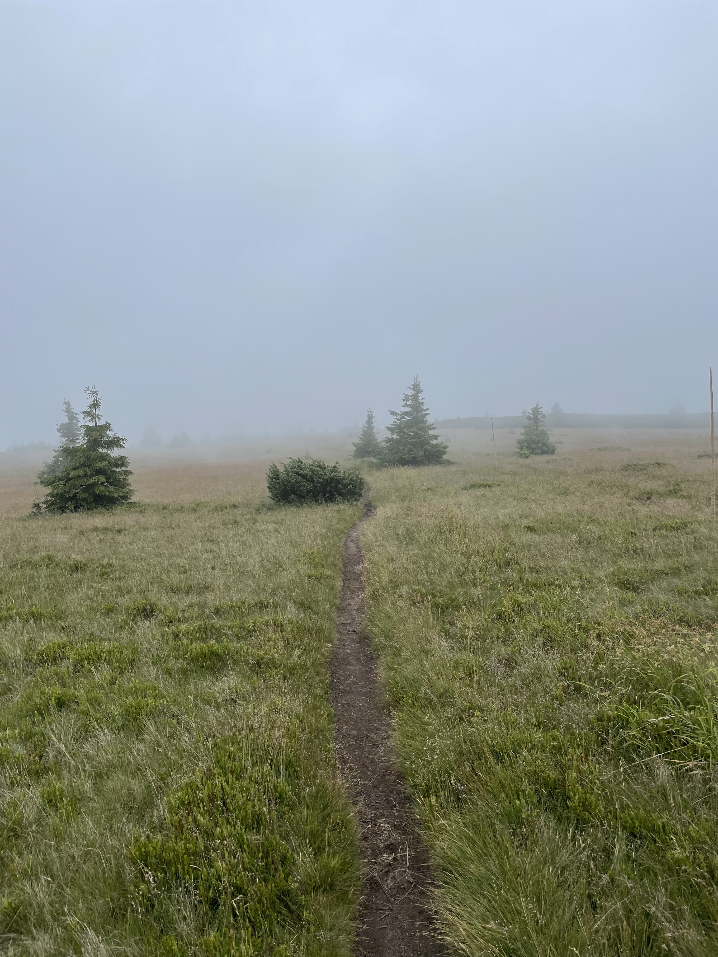 Morning was a bit foggy.