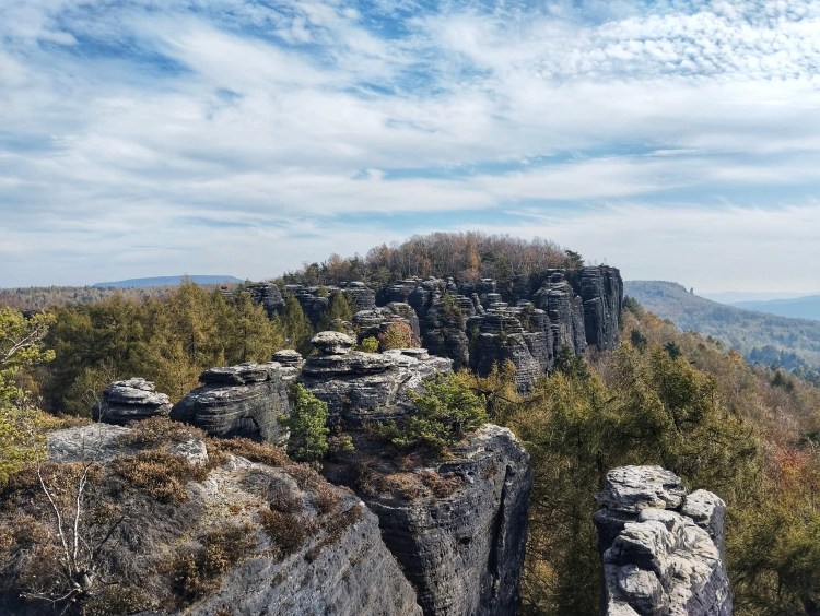 Tisá Walls